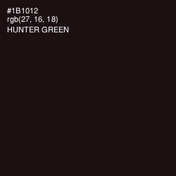 #1B1012 - Hunter Green Color Image